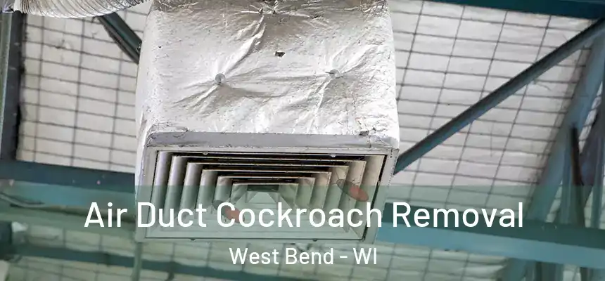 Air Duct Cockroach Removal West Bend - WI