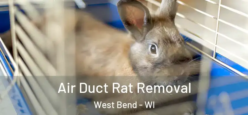 Air Duct Rat Removal West Bend - WI