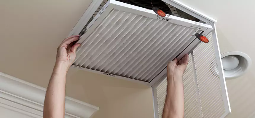 Our Insect Removal from Air Ducts Services in West Bend, WI