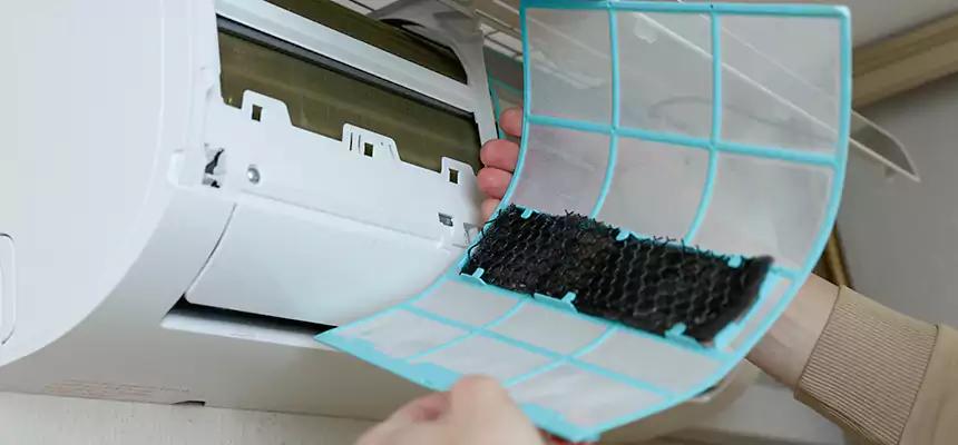 Gentle Ductwork Odor-Control Pet Dander Duct Cleaning in West Bend, WI