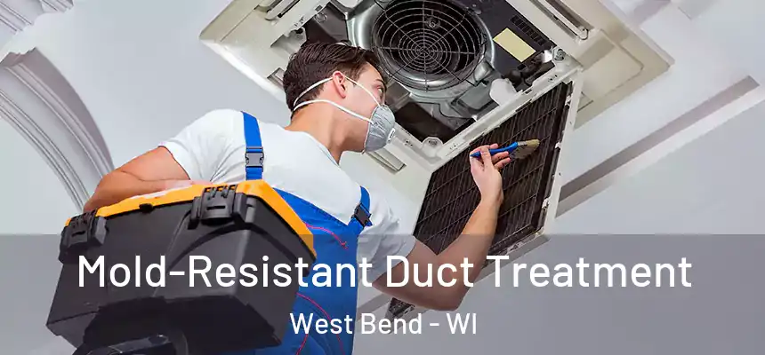  Mold-Resistant Duct Treatment West Bend - WI