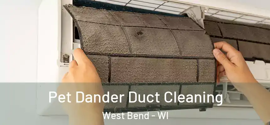 Pet Dander Duct Cleaning West Bend - WI