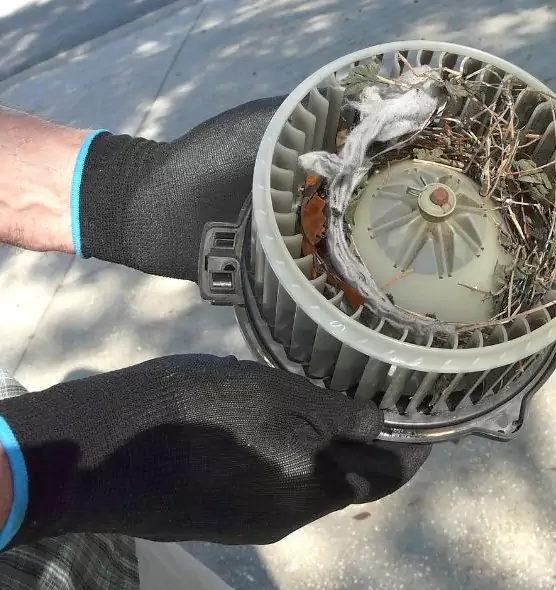 About Air Duct Mice Removal in West Bend, WI