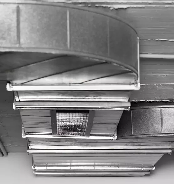 Professional Air Duct Pest Removal in West Bend, WI