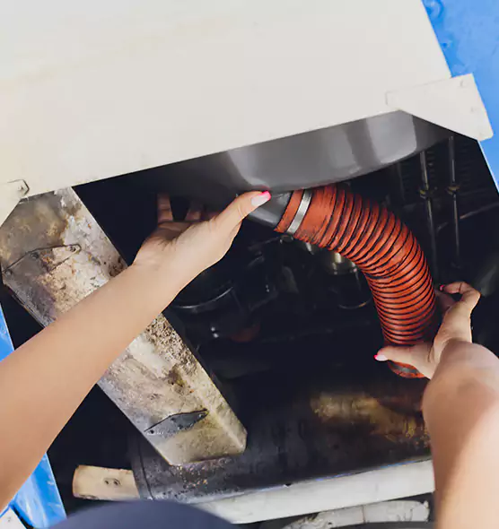 About Air Duct Virus Disinfection in West Bend, WI