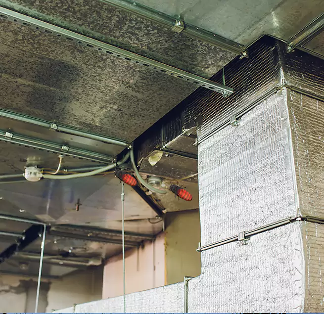 Why Homeowners & Businesses Trust Us in West Bend, WI?